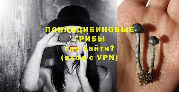 крисы Нефтегорск