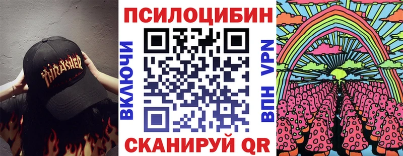 blacksprut tor  Западная Двина  Псилоцибиновые грибы Psilocybe  как найти  